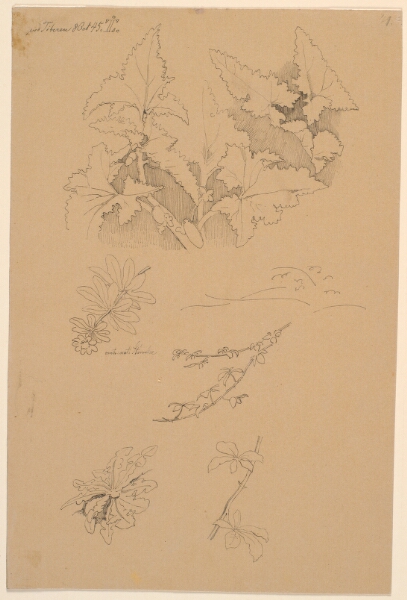 Johan Thomas Lundbye, Blad- og blomsterstudier