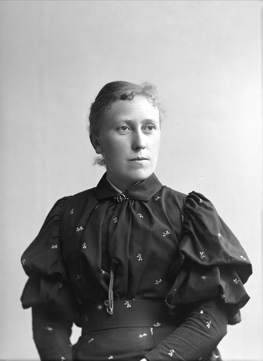 Gustav Borgen, NFB.36444