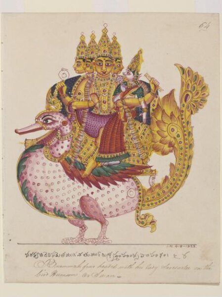 Unknown, Brahma