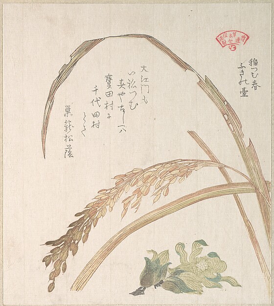 Kubo Shunman, Rice Plant and Butter-Burs