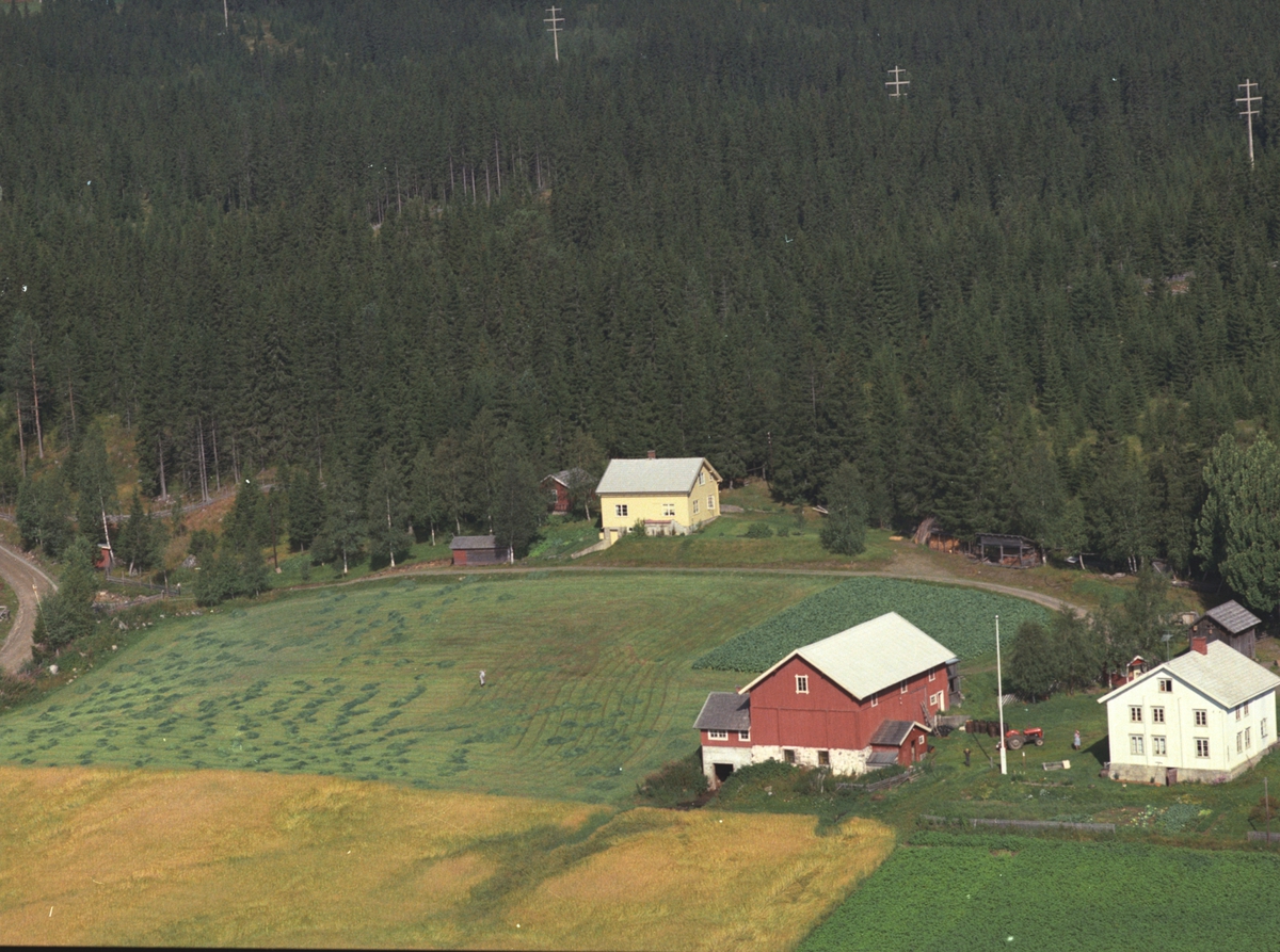 Widerøes Flyveselskap A/S, Flyfoto, Allergodt øvre, Veldre, Ringsaker.
