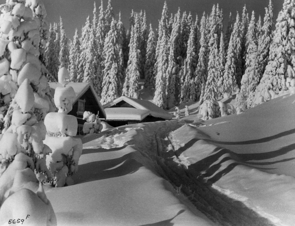 Anders Beer Wilse, Bebyggelse, Vinter, Sno