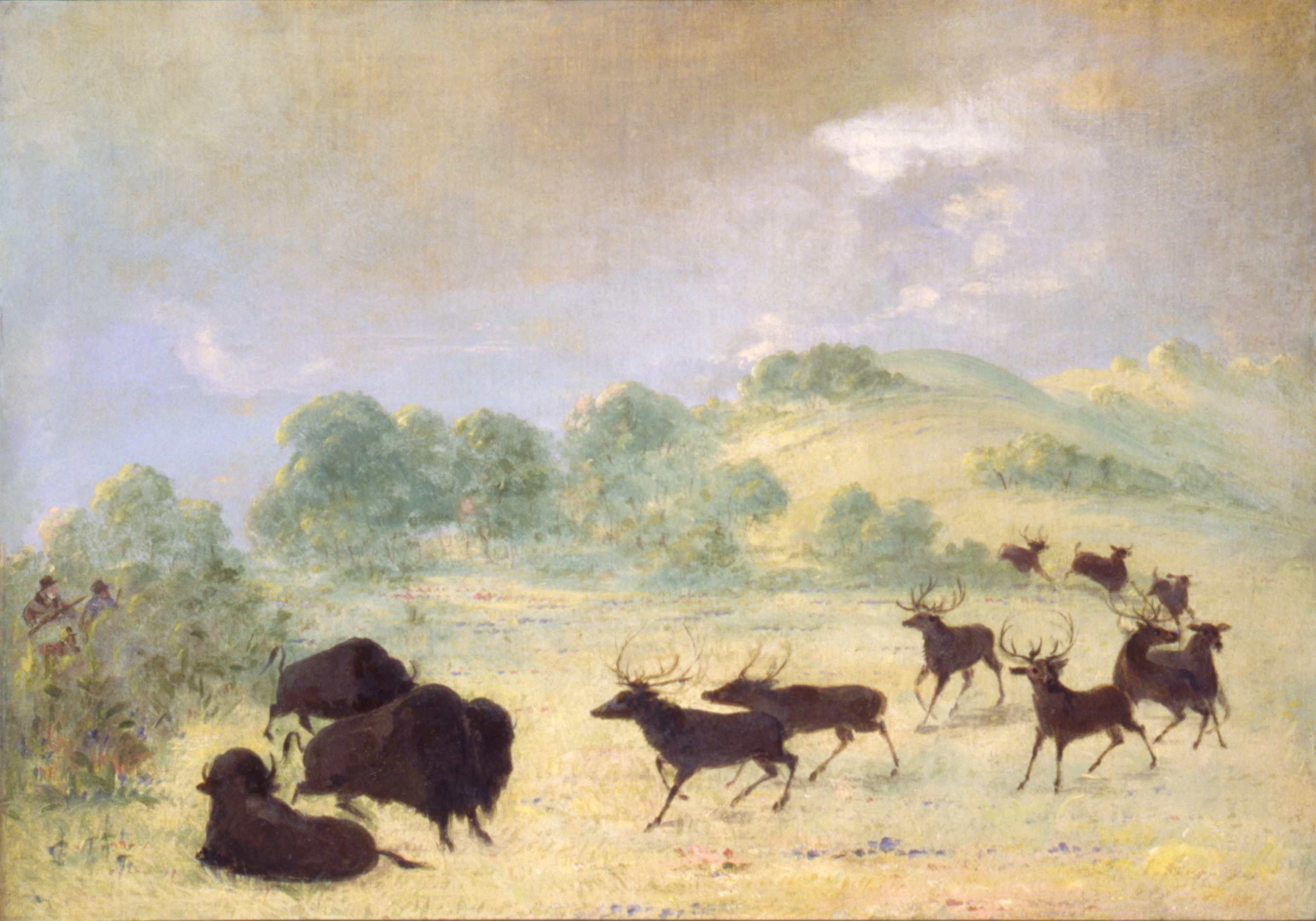 George Catlin, Elk and Buffalo Making Acquaintance, Texas