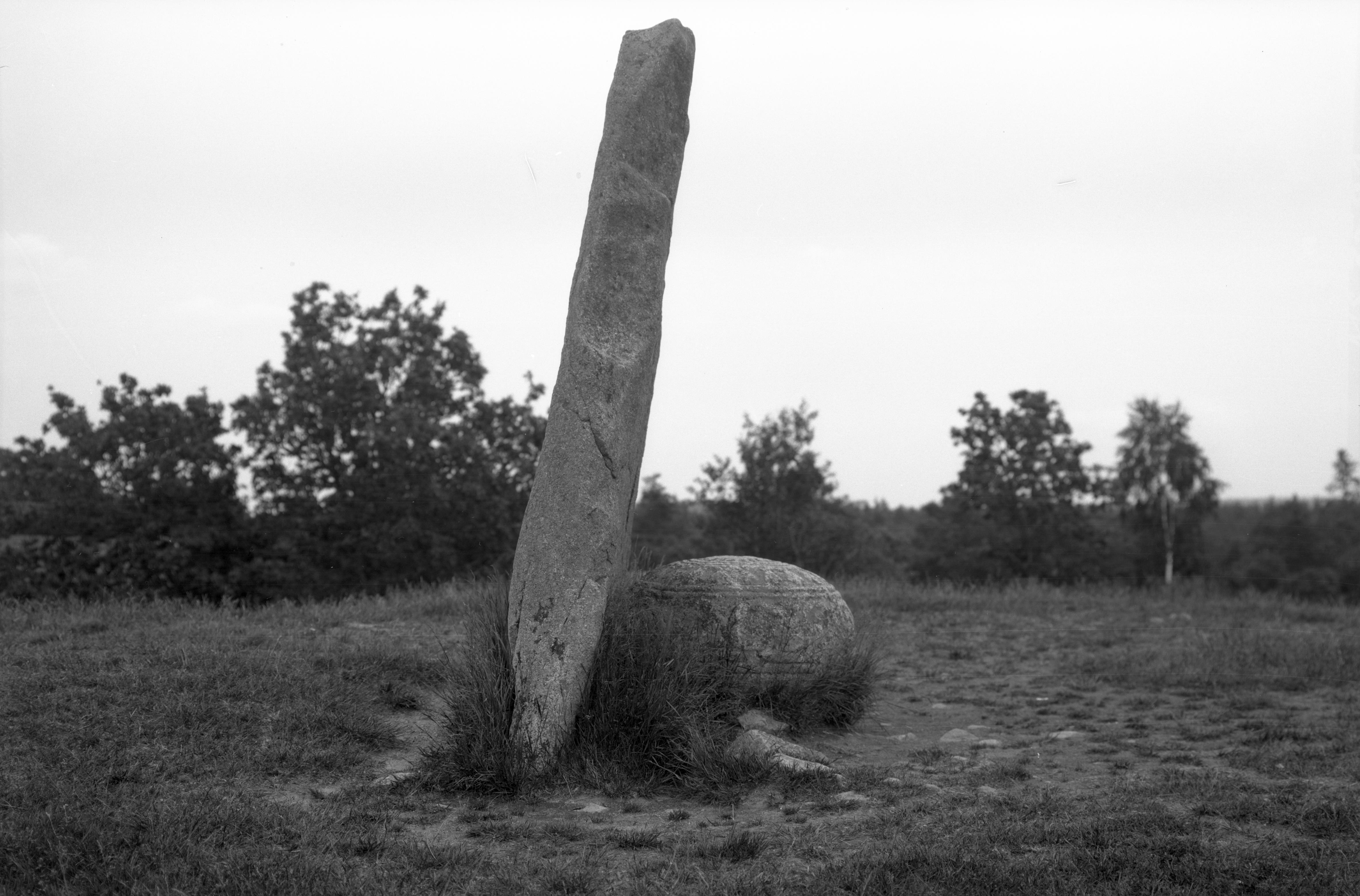 Mårten Sjöbeck, Inglinge hög