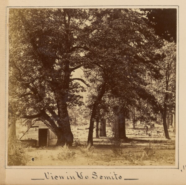 Carleton Watkins, View in Yosemite