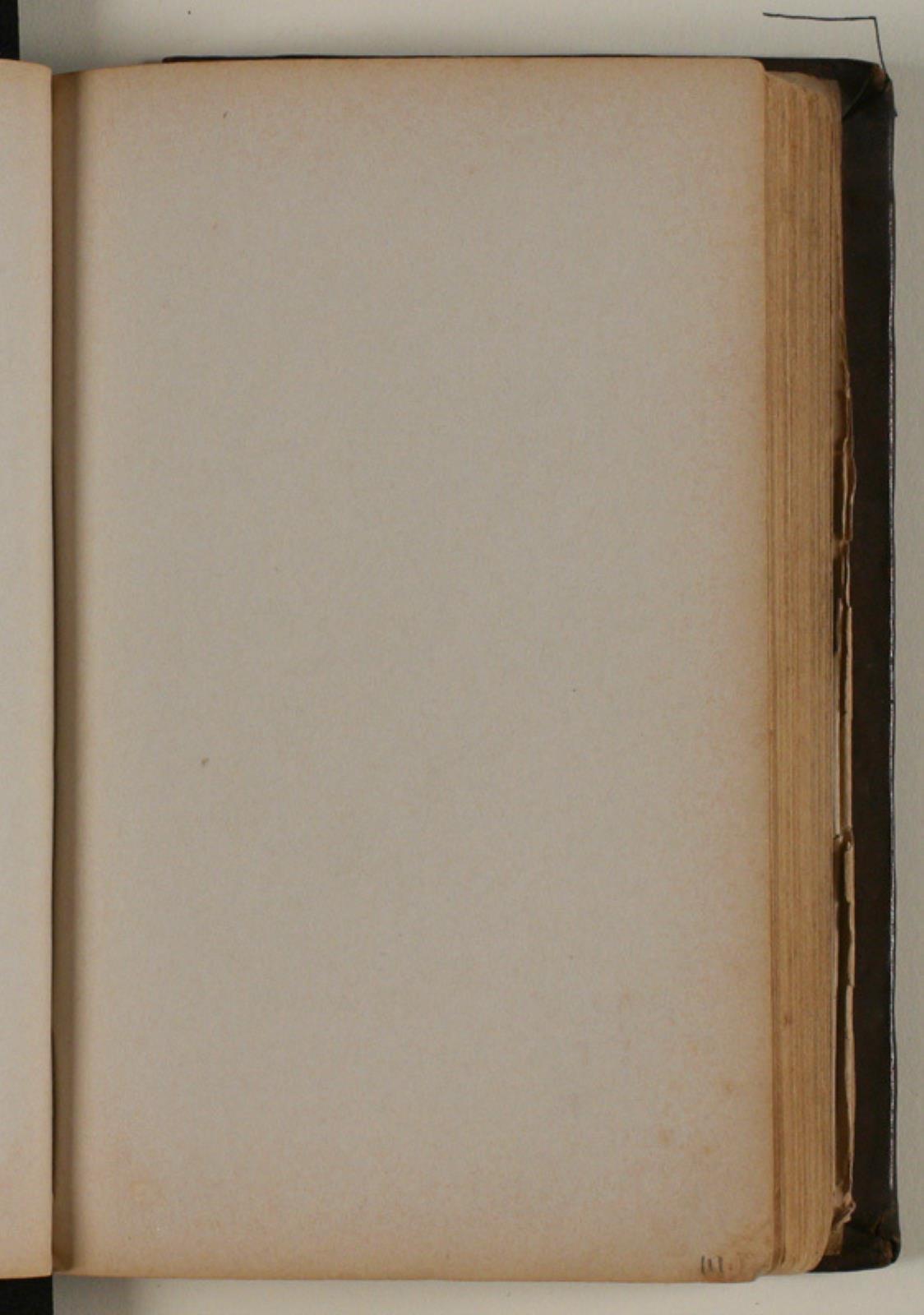 Niels Larsen Stevns, Blank