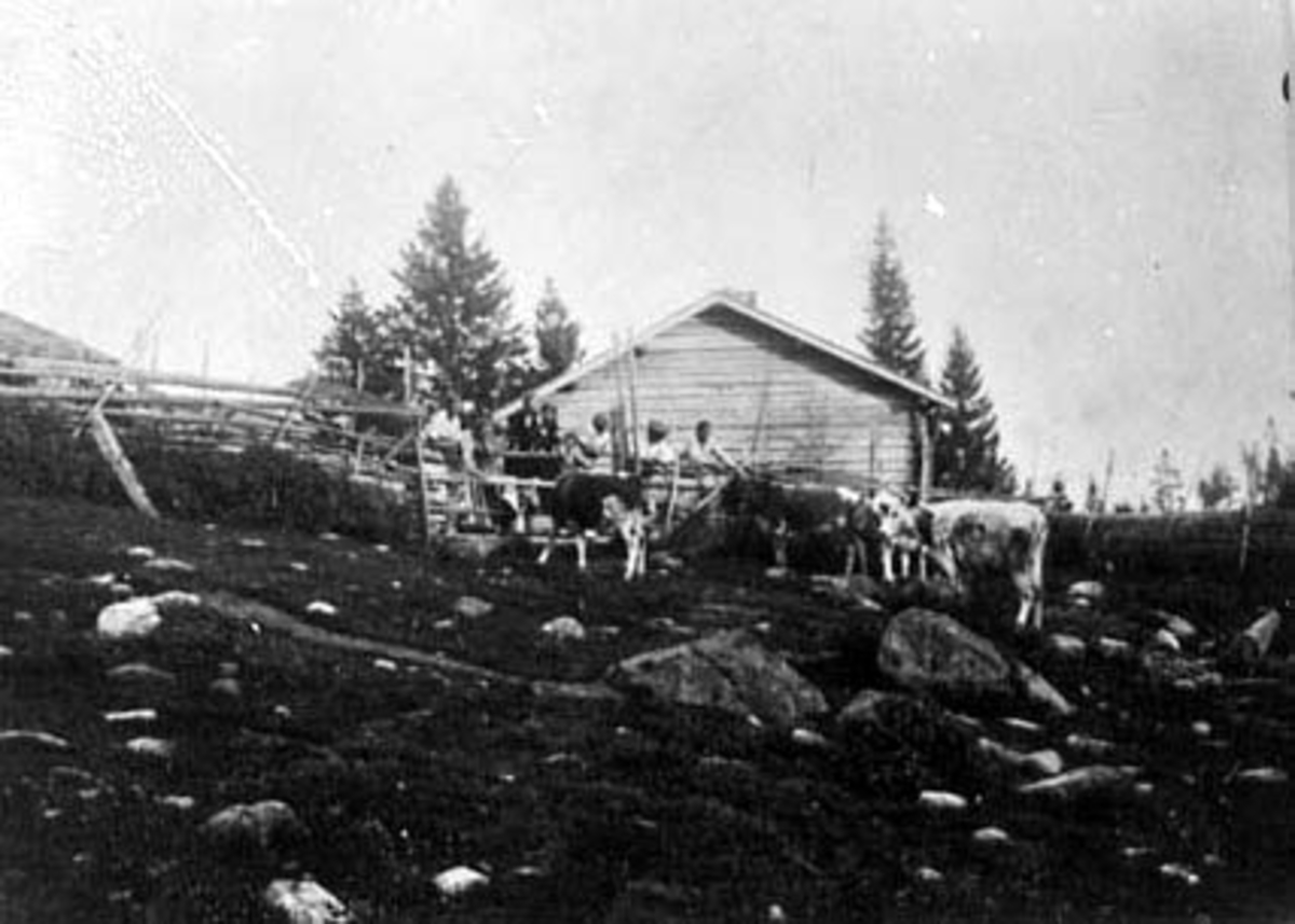 Anno Domkirkeodden, EKSTERIØR: SETER, LALUMSVANGEN, BUDEIE HILDA ÅSGÅR, BESØK FRA TROSVIKEN,
