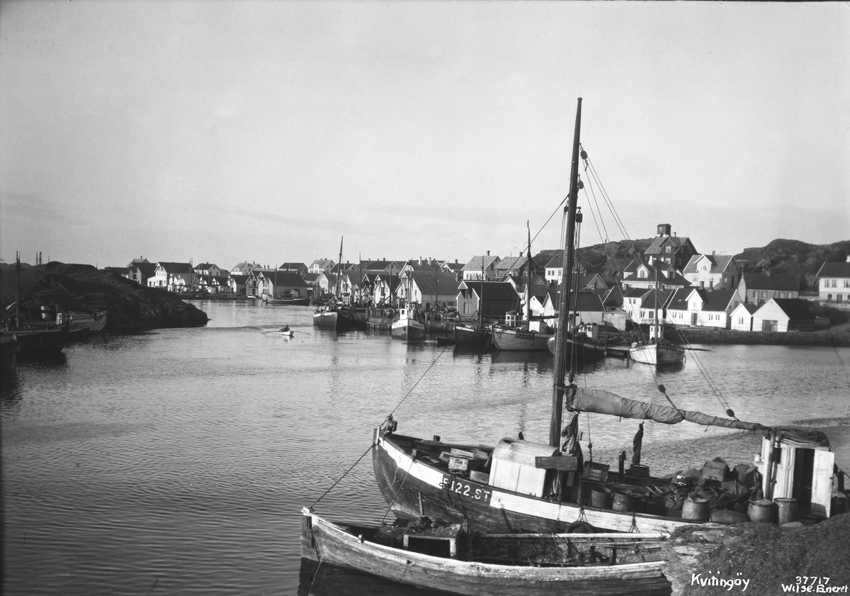 Anders Beer Wilse, Prot: Kvitingøy