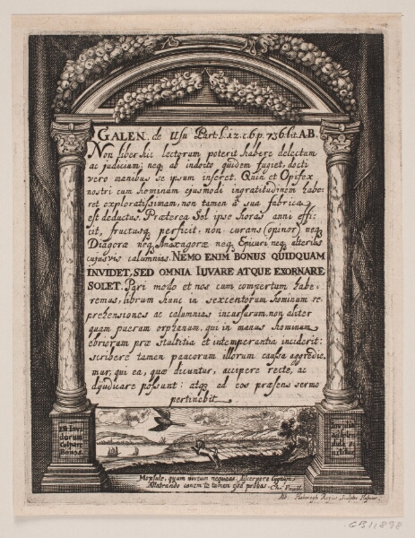 Albert Haelwegh, Illustration til Simon Paulli, "Quadripartitum Botanicum", 1667
