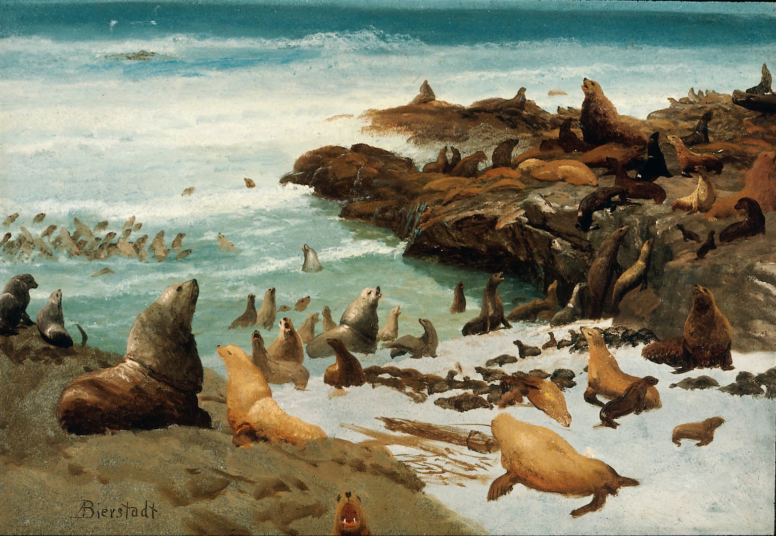 Albert Bierstadt, Seal Rocks, Farallons