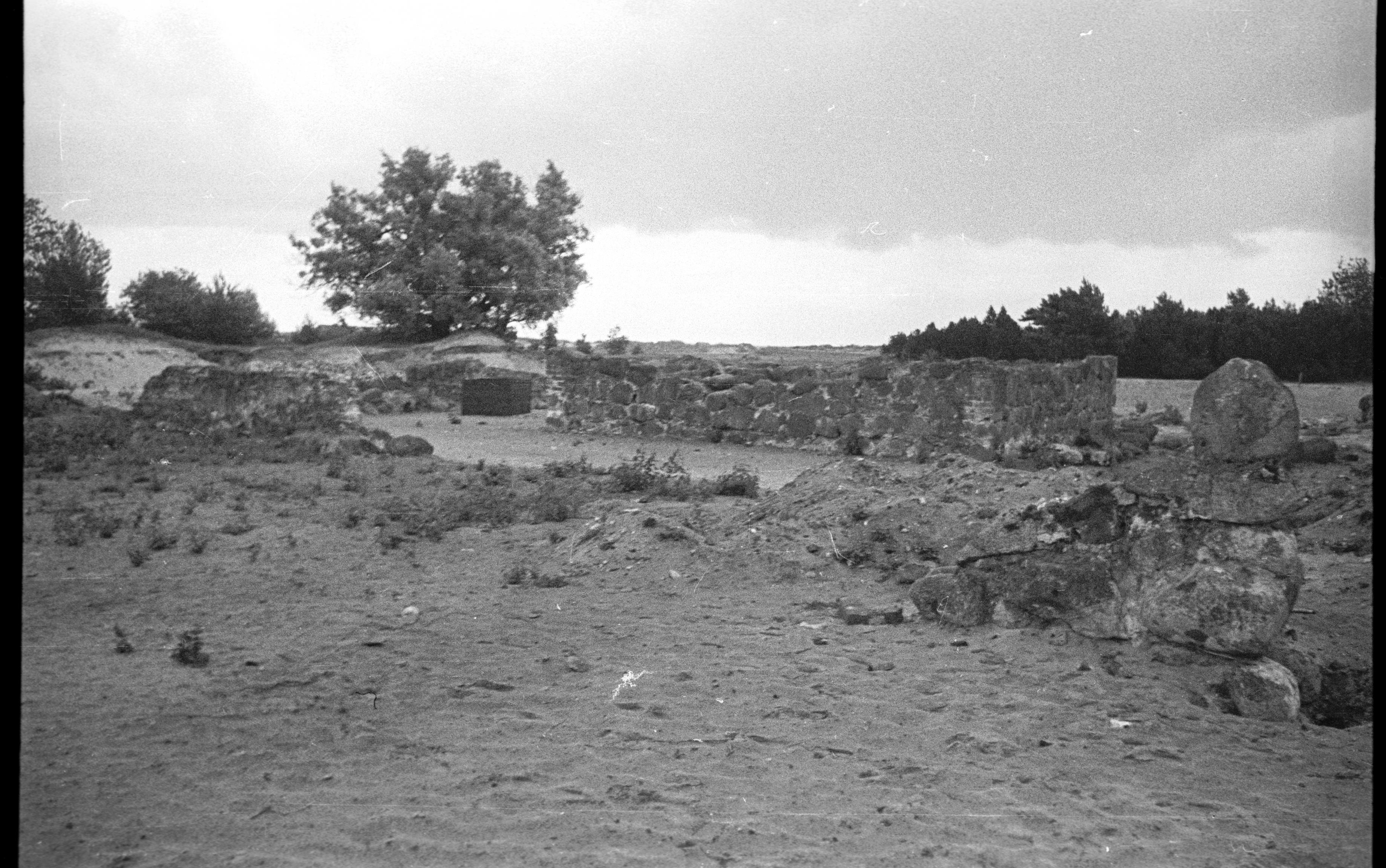 Berit Wallenberg, Falsterbo 5:1