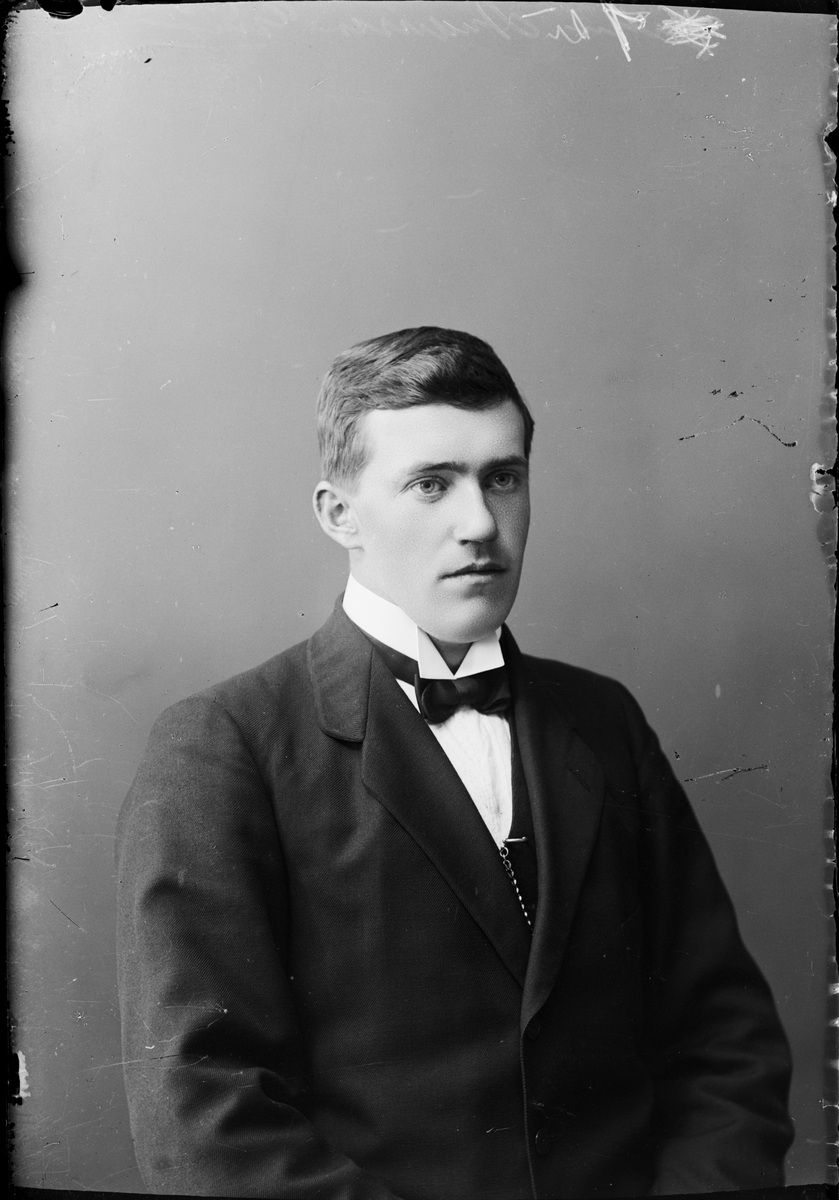 Skötsner-Edhlund, Andersson från Gimo, Skäfthammar socken, Uppland