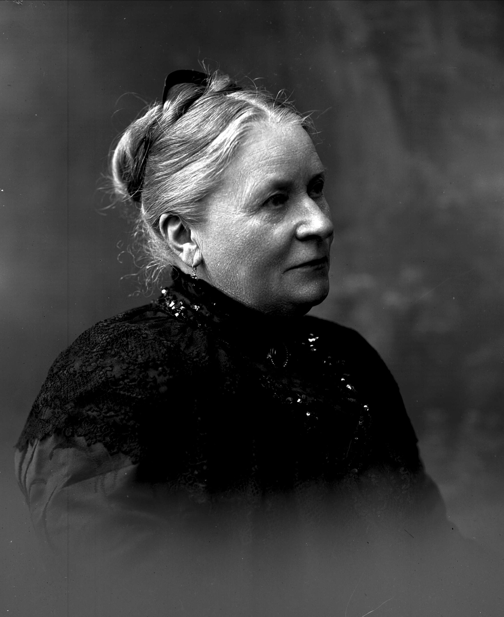 Gustav Borgen, NFB.01342