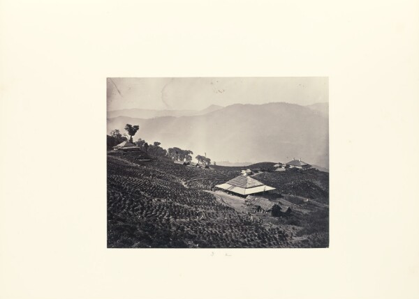 Unknown, Plantation on Mountain