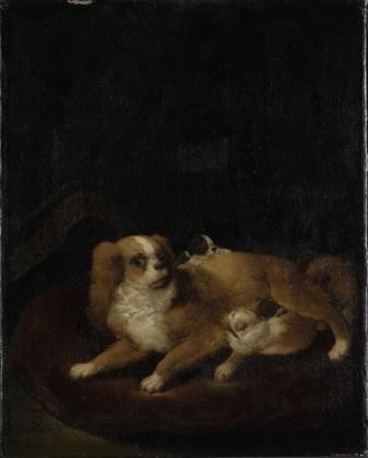 Johann Melchior Roos, Malteserhündin mit drei Jungen