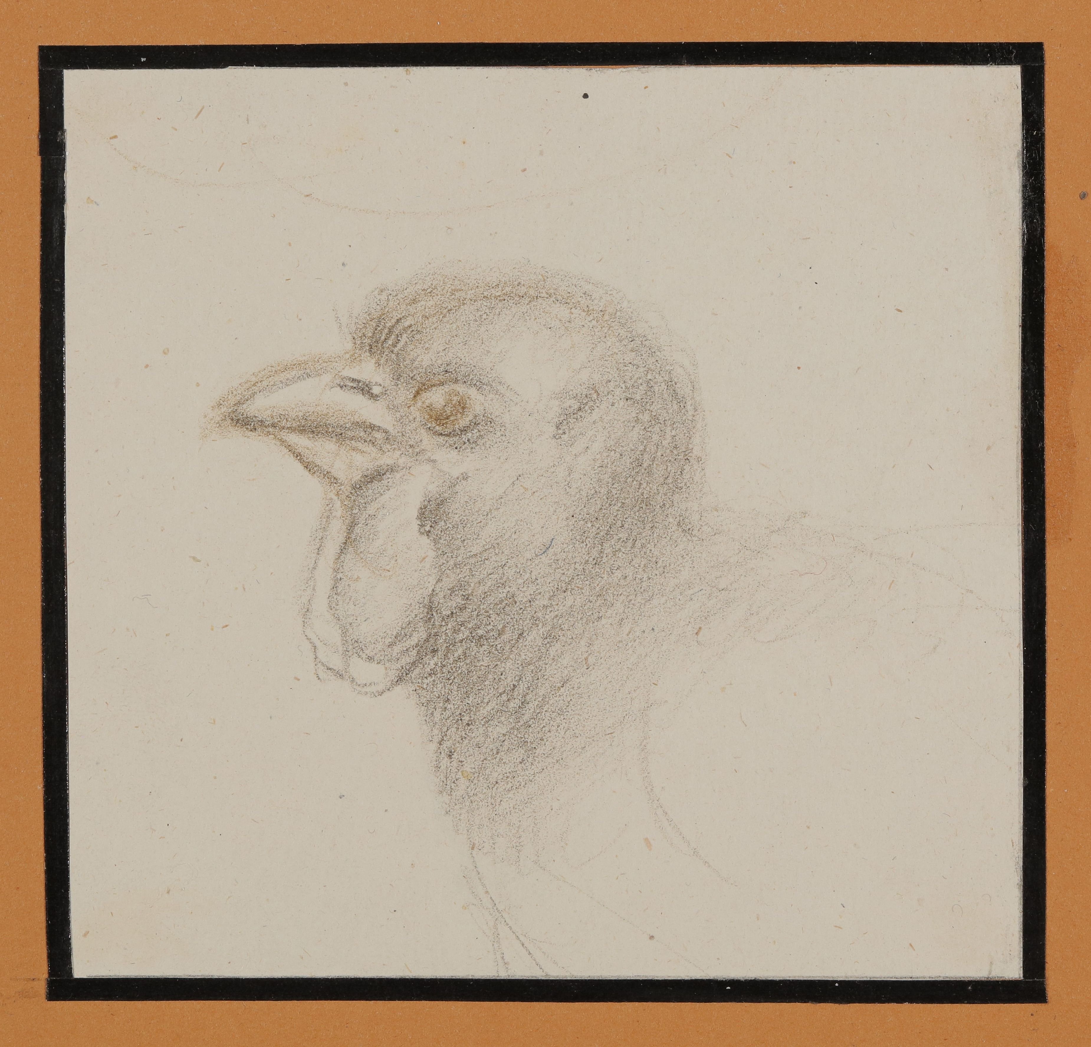Armgart von Arnim, Vogelkopf [aus der "geblümten Kassette"]