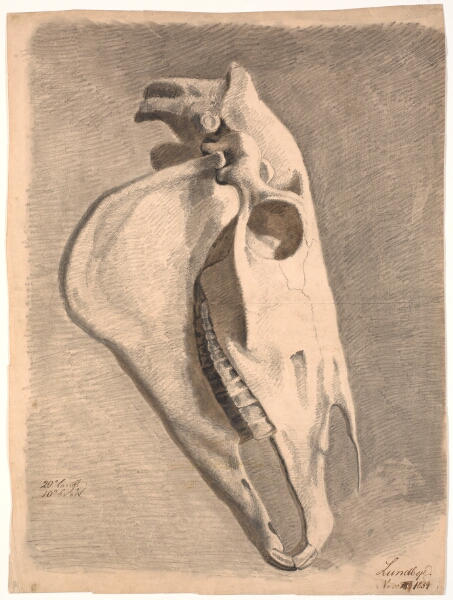 Johan Thomas Lundbye, Hestekranium