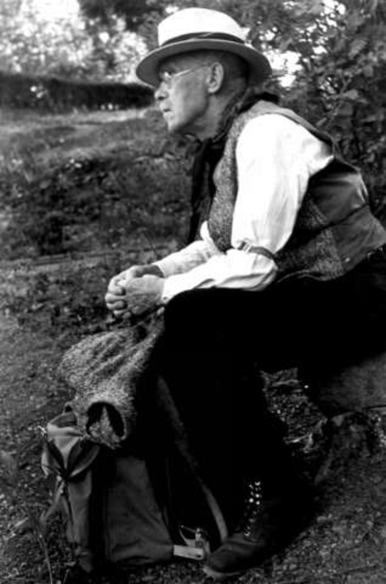 Anders Beer Wilse, Fotograf Wilse