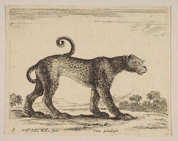 Stefano della Bella, Plate 9: Leopard, from "Various animals" (Diversi animali)