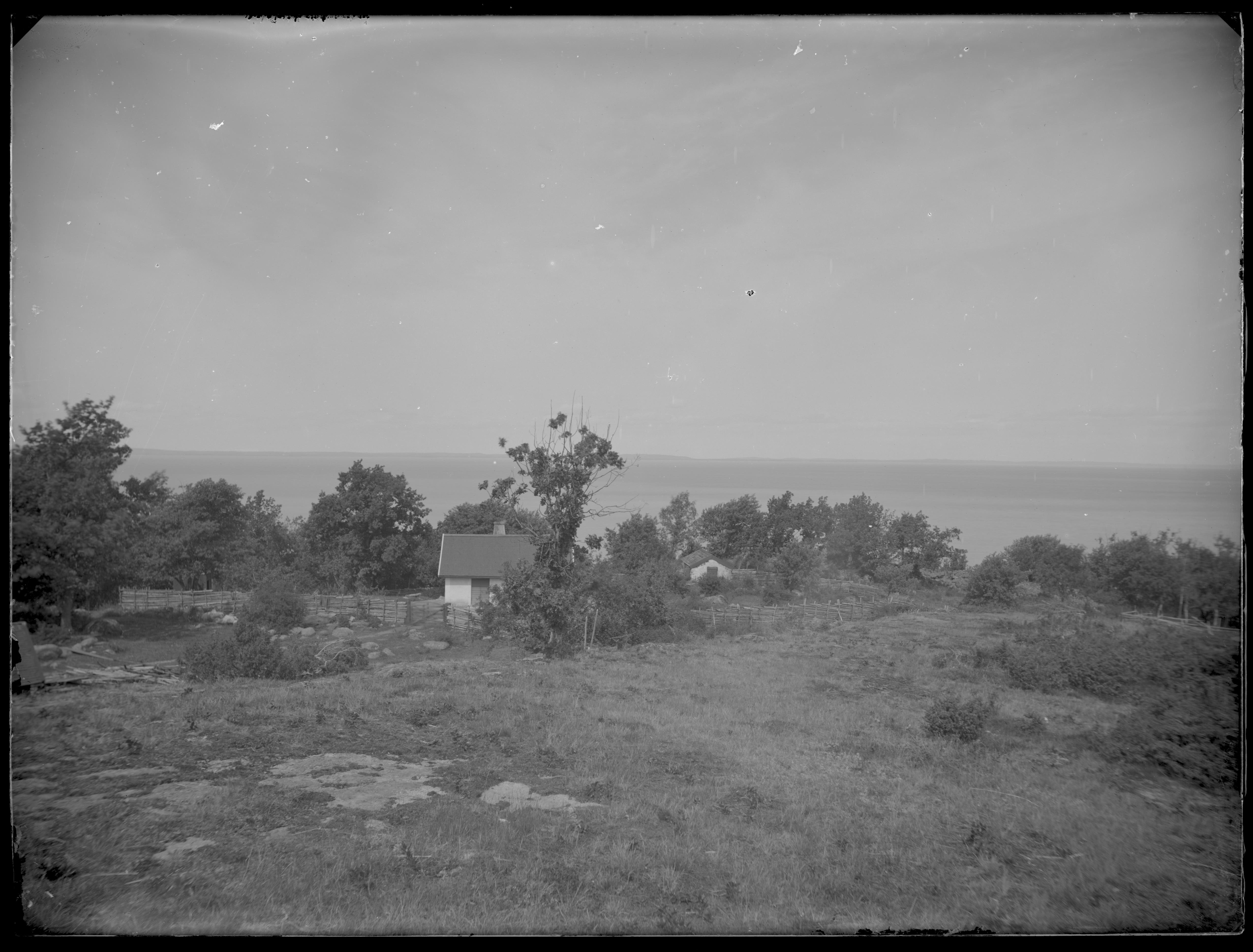 Carl Curman, Omberg