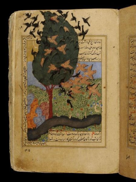 Unknown, Anvar-i Suhayli