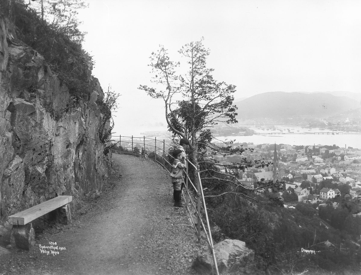 Anders Beer Wilse, Prot: Drammen - Huldrehageveien i Aasen 11. Aug. 1903