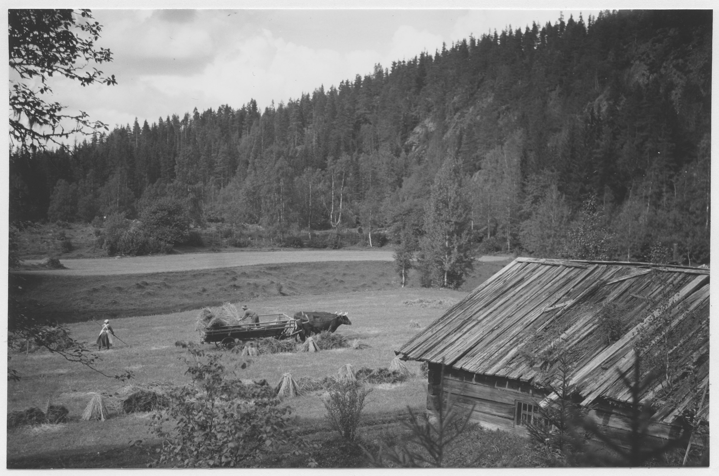 Mårten Sjöbeck, Skåleklint