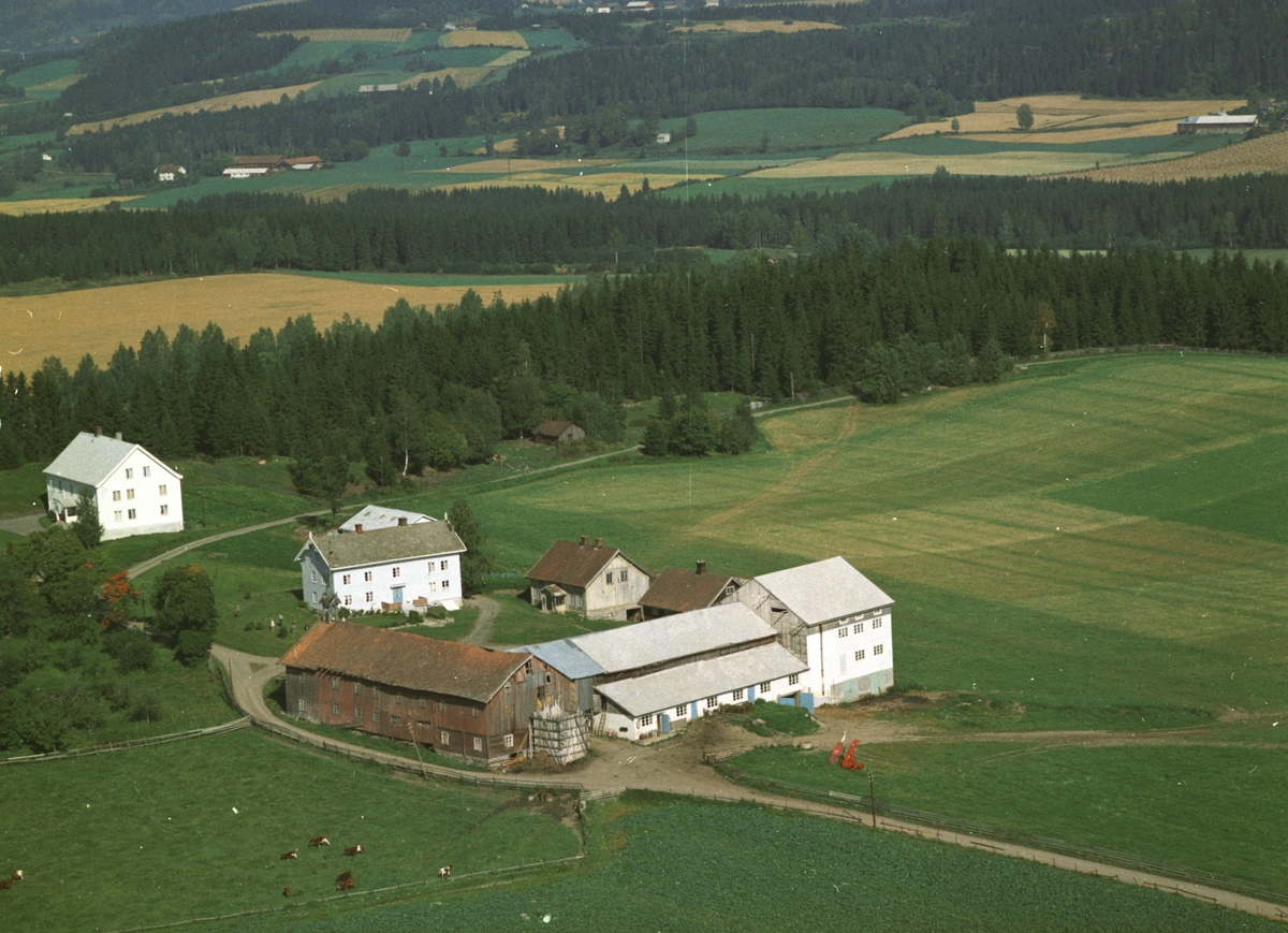 Anno Domkirkeodden, Flyfoto, Ingeberg nedre, Gaupen, Ringsaker.