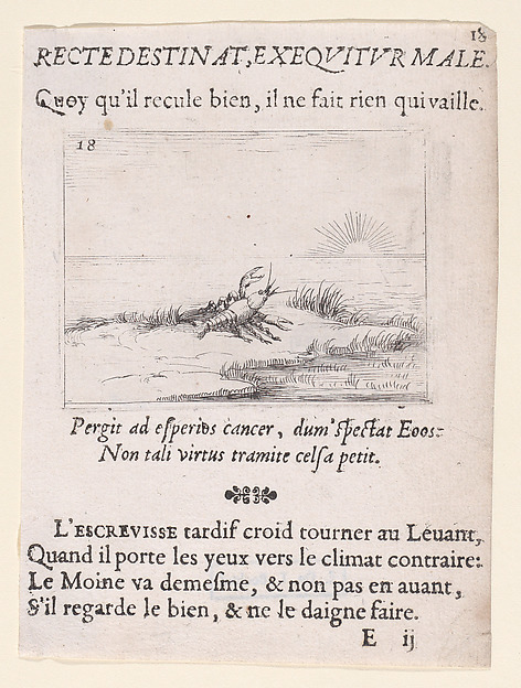 Jacques Callot, Une Ecrevisse Regardant Le Soleil (A Crayfish Looking at the Sun), plate 18 from "Lux Claustri ou La Lumière du Cloitre" (The Light of the Cloisters)