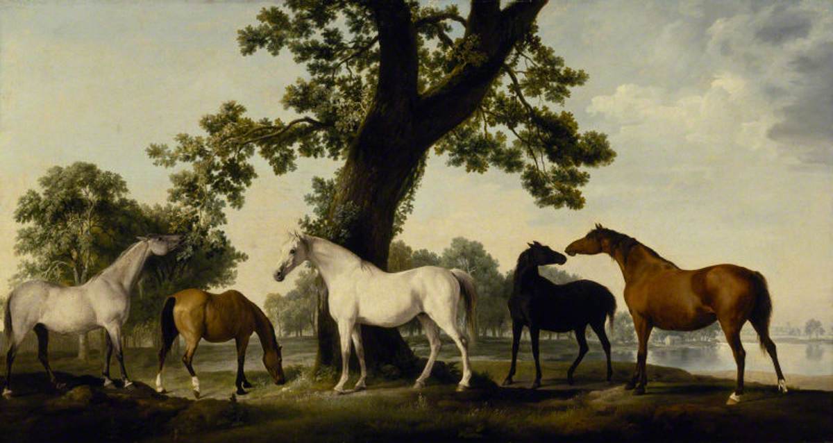 George Stubbs, Five Brood Mares at the Duke of Cumberland's Stud Farm in Windsor Great Park
