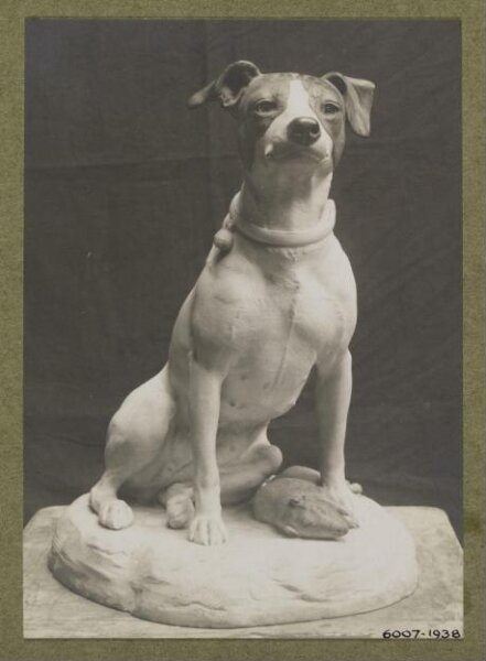 unknown, Photograph