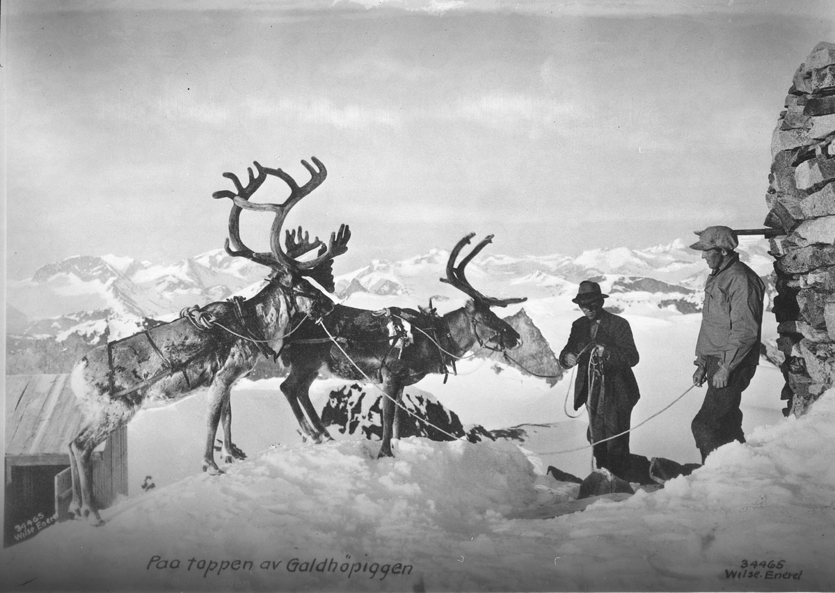 Anders Beer Wilse, Prot: Jotunheimen, vinter - Galhøpiggen, ren ved varden