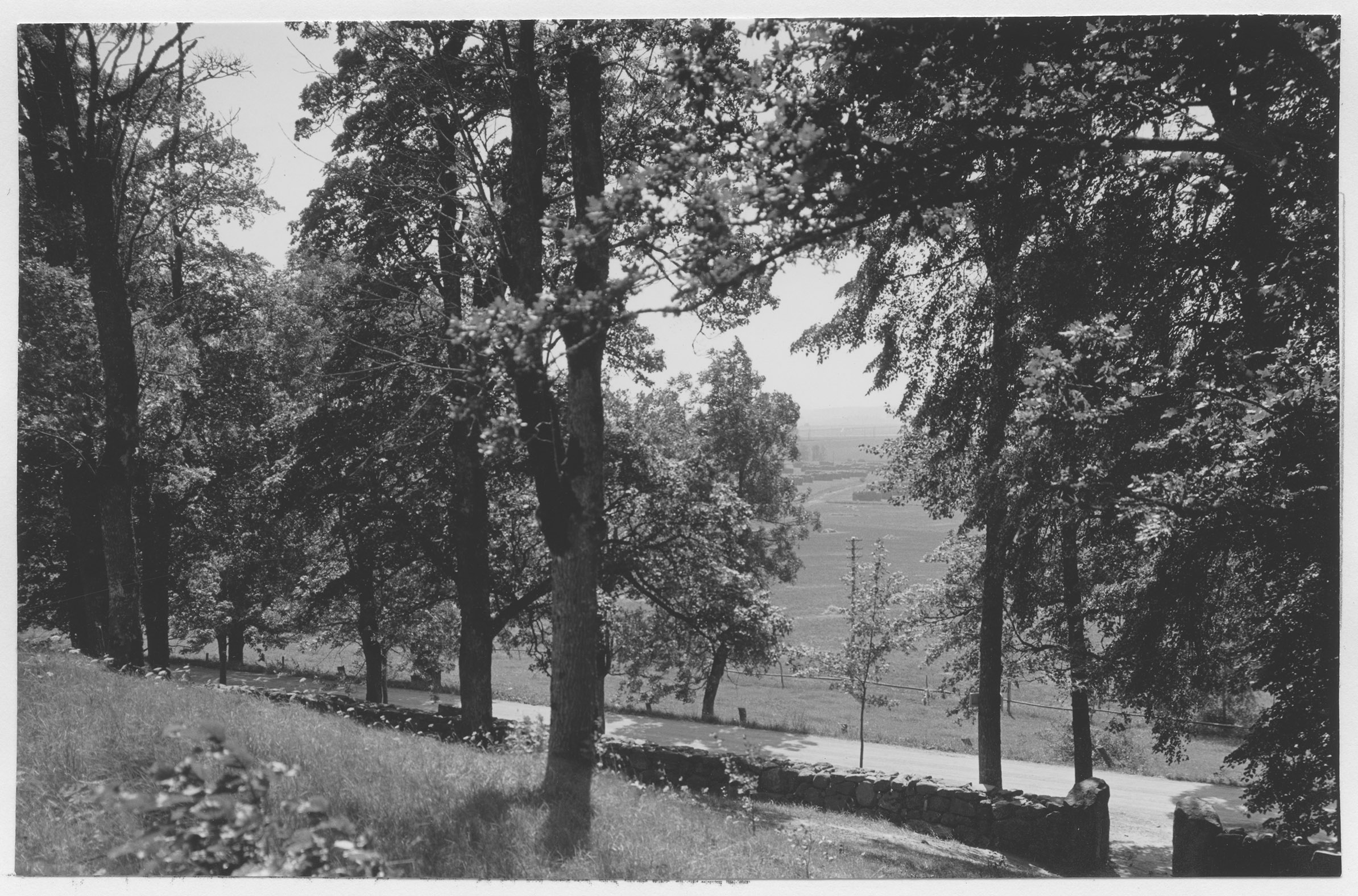 Mårten Sjöbeck, Riseberga klosterruin