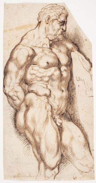 Peter Paul Rubens, Den farnesiske Herkules
