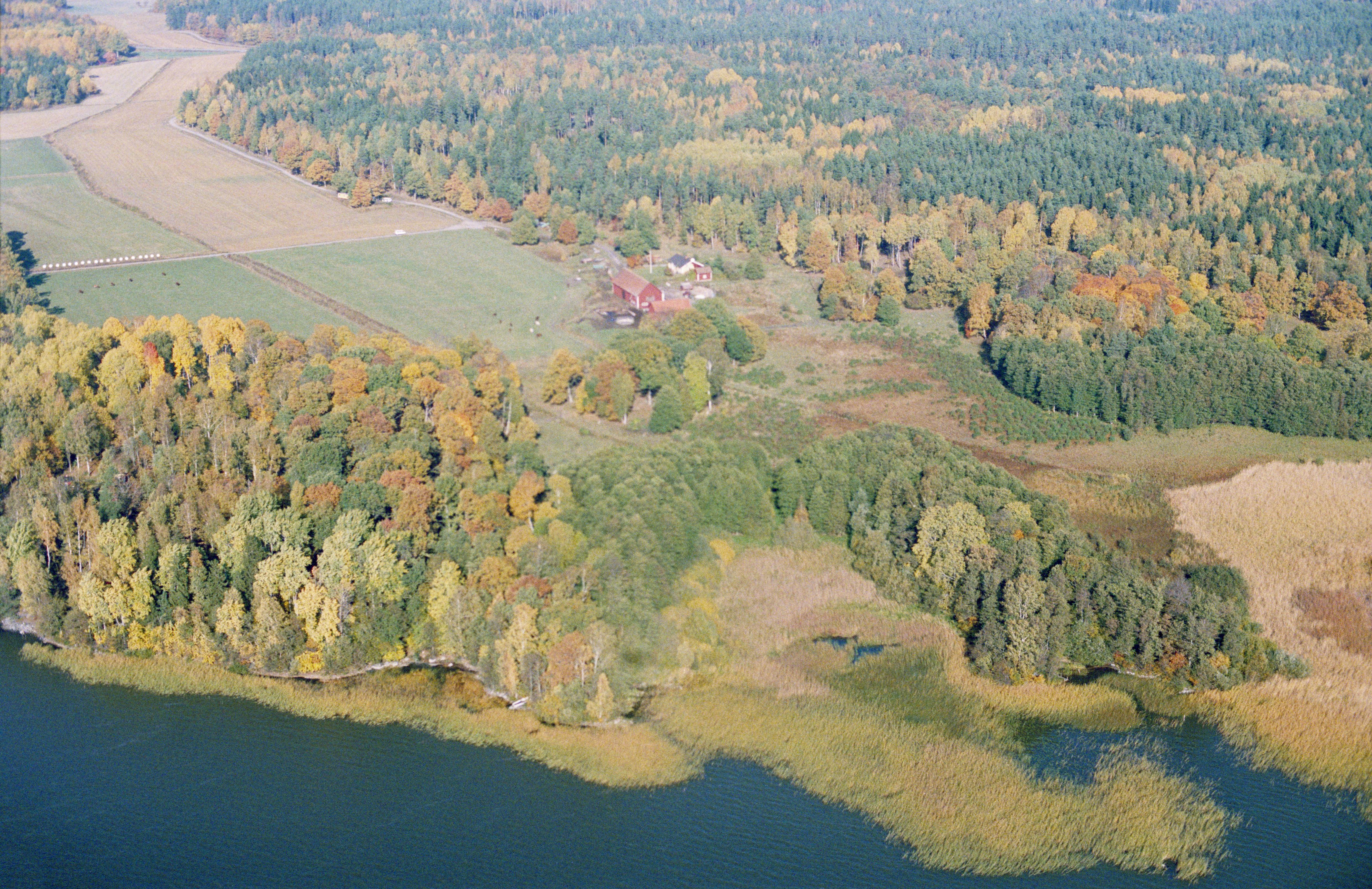 Jan Norrman, Kungsåra 163:1