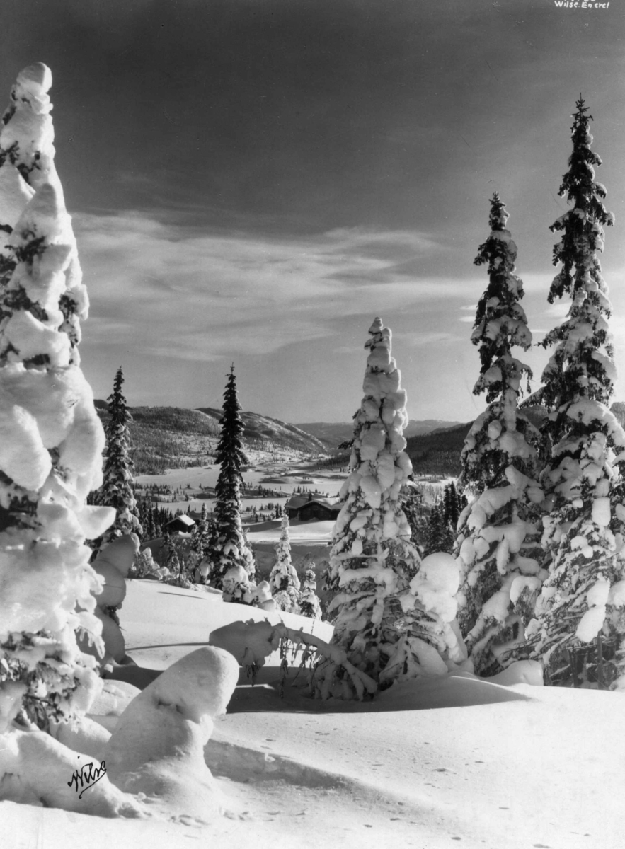 Anders Beer Wilse, Oversiktsbilde, Sno