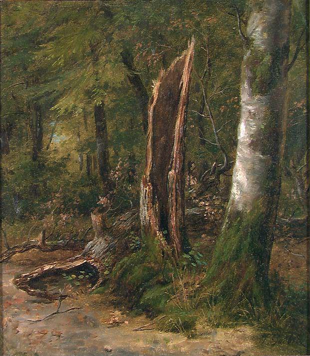Johan Gørbitz, Study of Trees