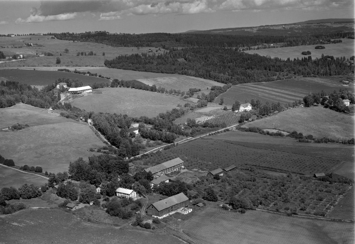 Widerøes Flyveselskap A/S, Flyfoto av Løken gård, Hasselbakken, Båberg gård, Furu skole, Veldre, Ringsaker. Frukthage, landskap.