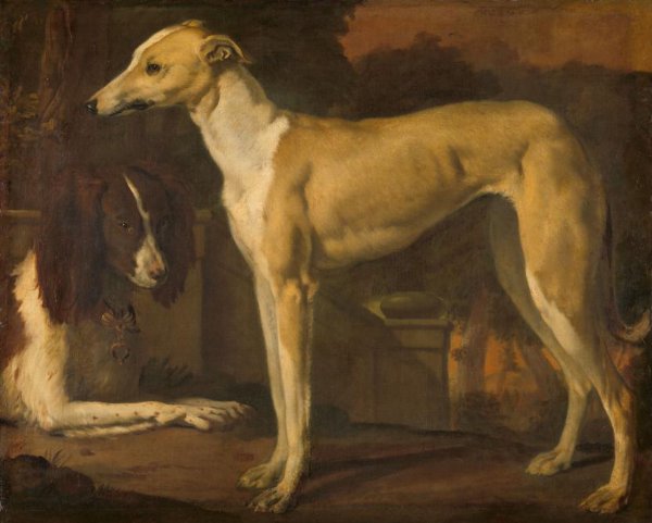 Jan Weenix, Portrait of a Greyhound and Spaniel