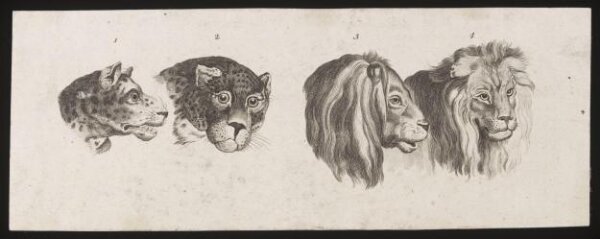 Unknown, Print