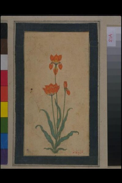 Unknown, Painting