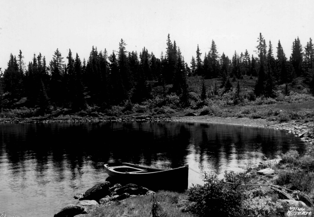 Anders Beer Wilse, Landskap, samferdsel båt, Tisleifjorden.