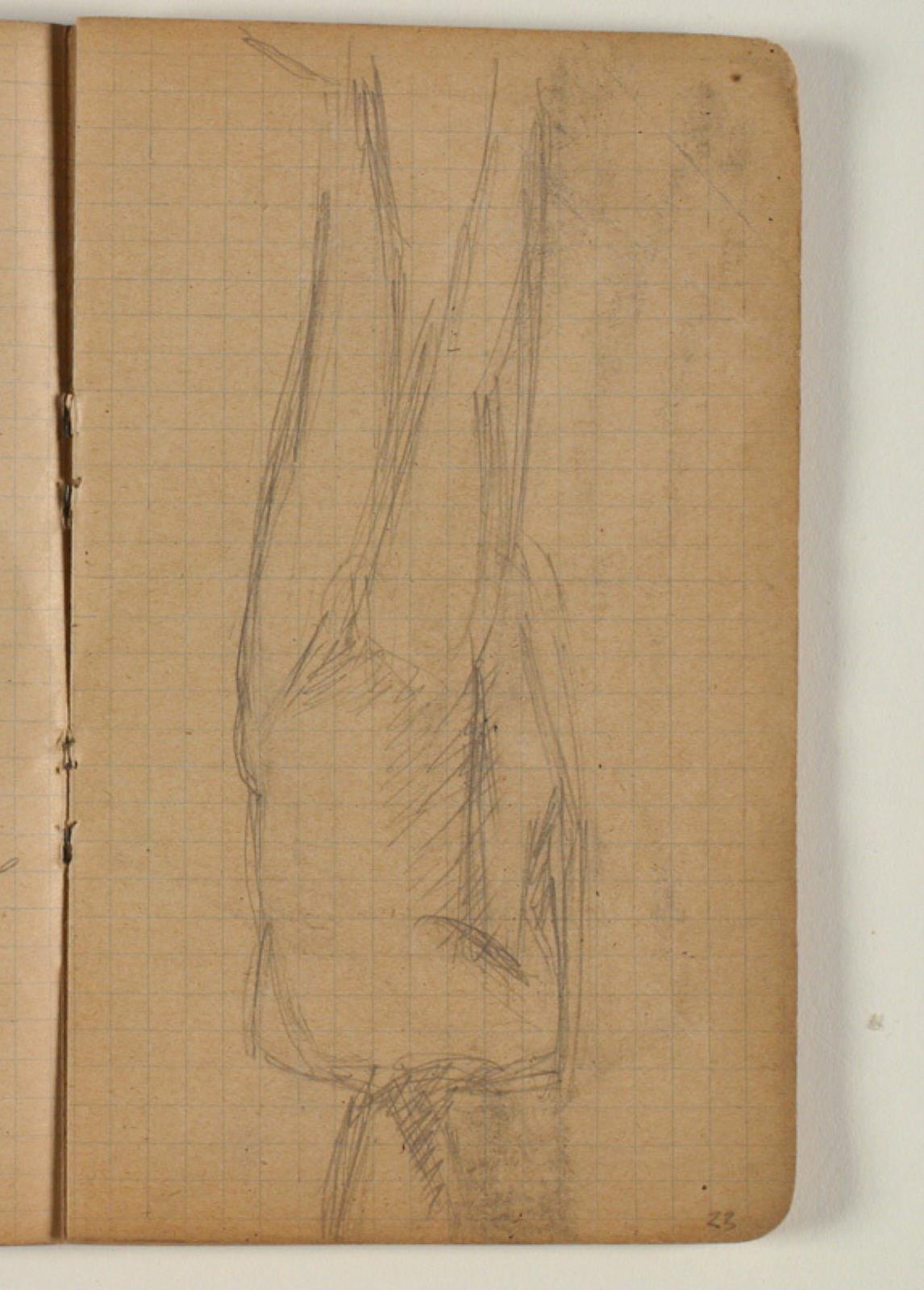 Niels Larsen Stevns, Modelstudie