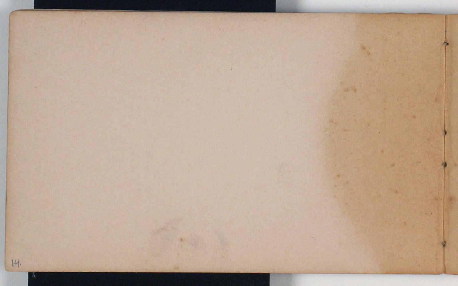 Niels Larsen Stevns, Blank