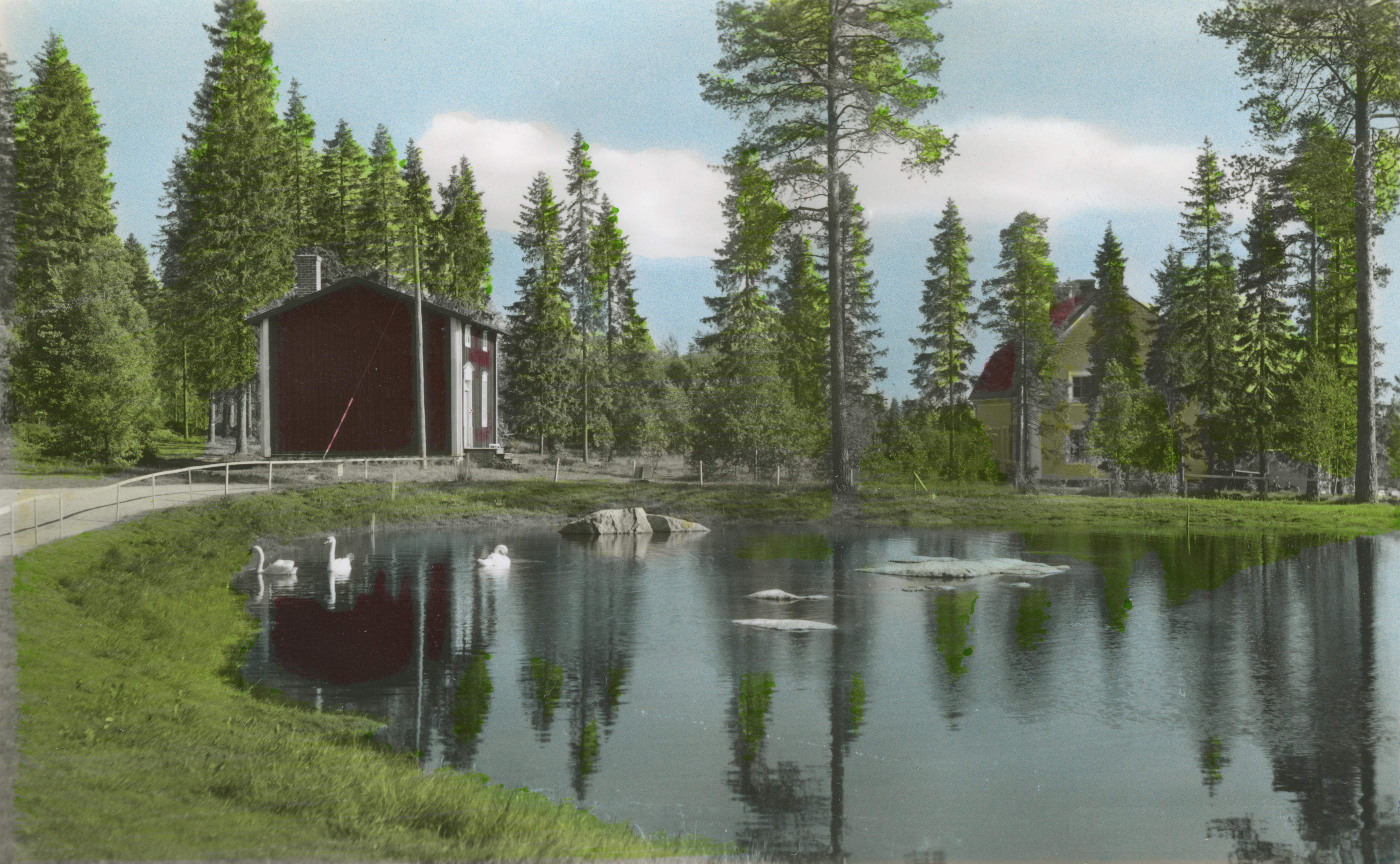 Okänd Okänd, Gammlia