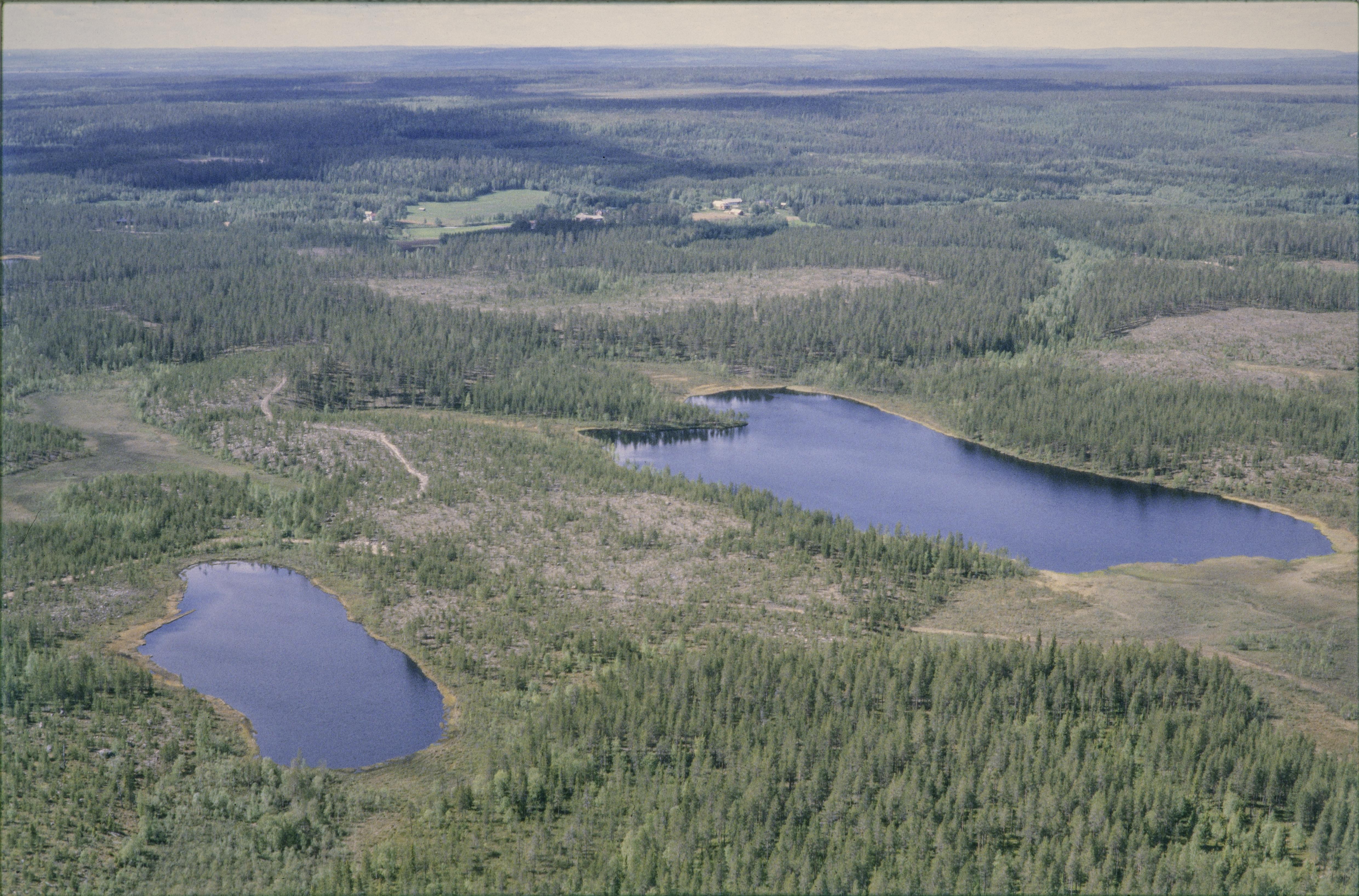 Jan Norrman, Töre 411:1