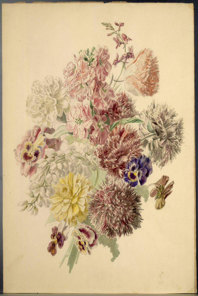 Anonym, Blumenstudie