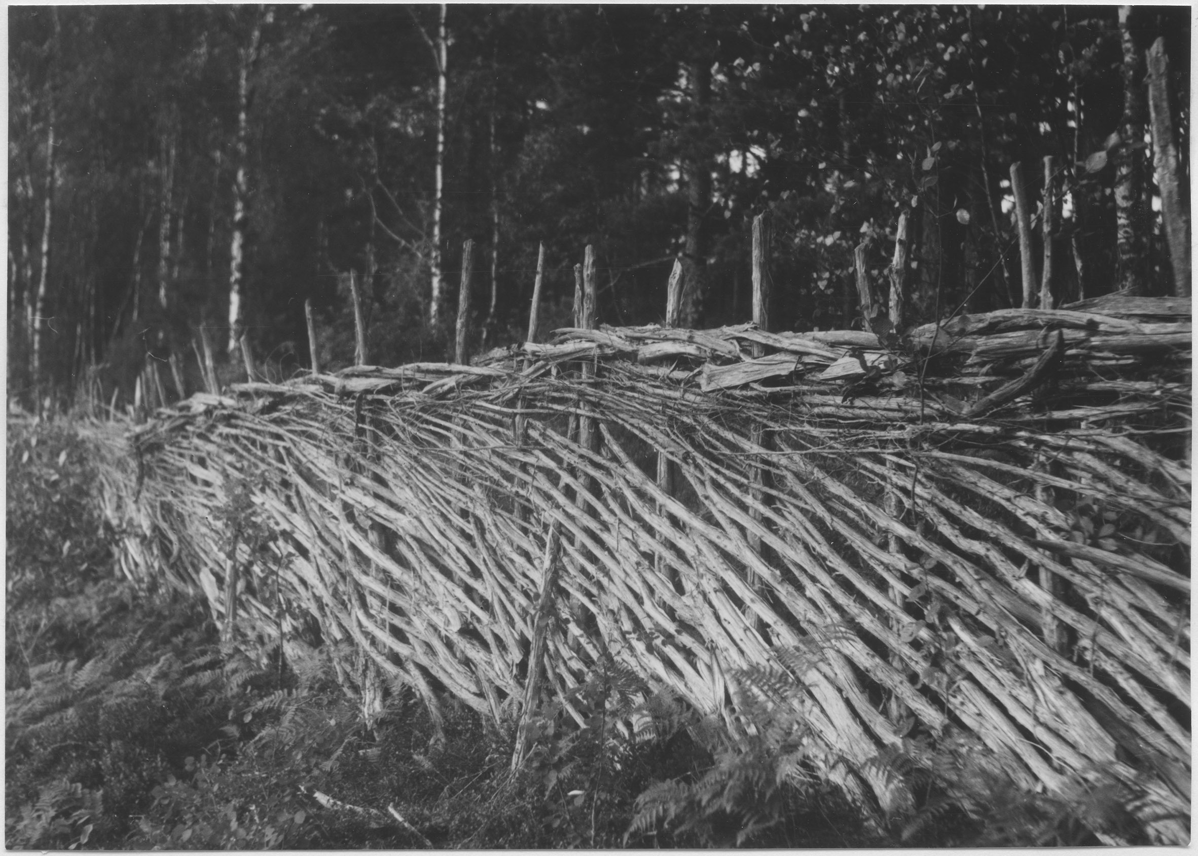 Mårten Sjöbeck, Pieboda, gärdesgård kring åker