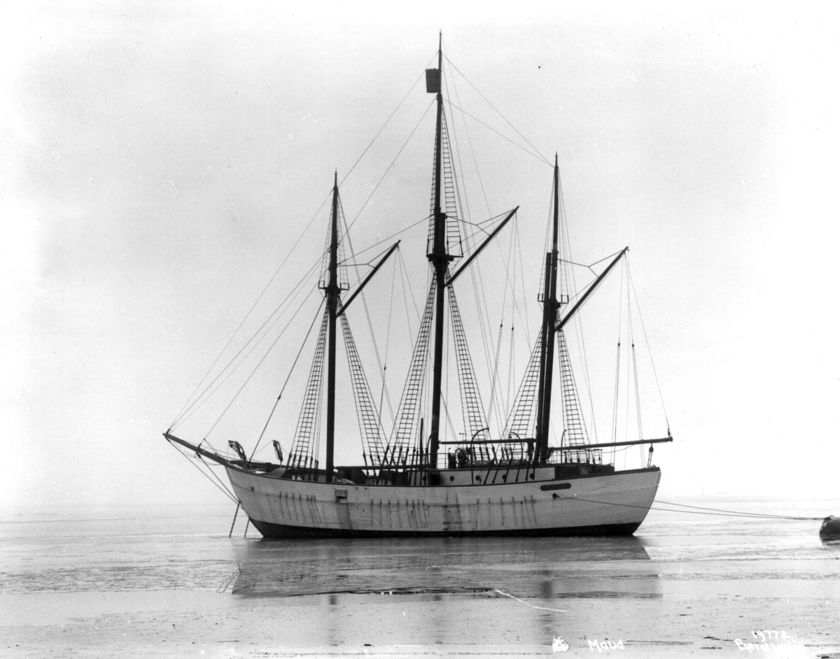 Anders Beer Wilse, , Oslo
