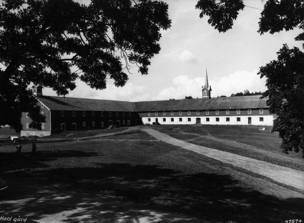 Anders Beer Wilse, Hoel gård Landbruk